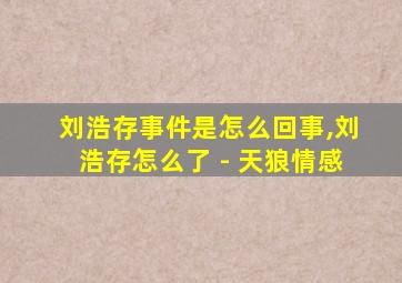 刘浩存事件是怎么回事,刘浩存怎么了 - 天狼情感